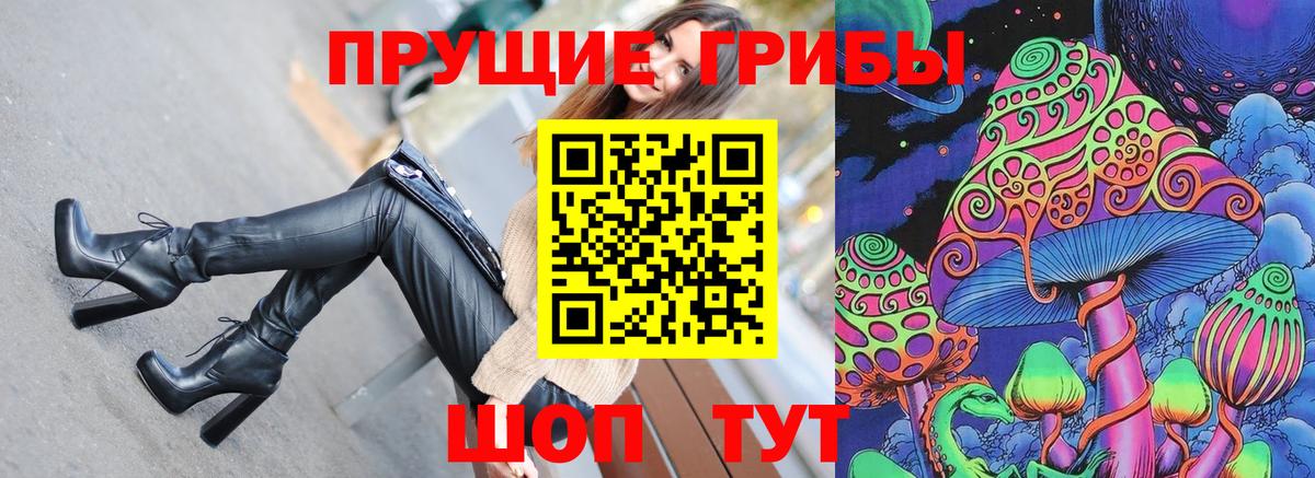 Галлюциногенные грибы Psilocybine cubensis  Галлюциногенные грибы прущие грибы  Гуково  Вход с VPN 